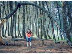 destinasi-wisata-di-lembang-bandung.jpg