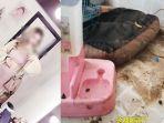 di-balik-artis-cantik-ada-apartemen-super-kotor.jpg
