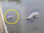 dikira-ikan-besar-ternyata-yang-menyangkut-di-kailnya-mayat-peserta-lomba-mancing-di-citarum-geger_20180603_134730.jpg