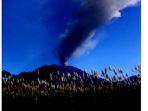 dinkes-kota-bogor_20170913_155135.jpg<pf>dinkes-kota-bogor_20170913_155121.jpg<pf>dinkes-kota-bogor_20170913_155203.jpg<pf>dinkes-kota-bogor_20170913_155231.jpg
