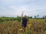 direktur-aneka-kacang-dan-umbi-direktorat-jenderal-tanaman-pangan-yuris-tiyanto.jpg