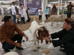 direktur-bisnis-kecil-jaringan-bni-catur-budi-harto_20170924_162556.jpg