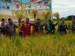 dirjen-psp-sarwo-edhy-kementan-panen-padi.jpg