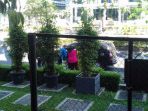 disengat-tawon_20170625_131904.jpg