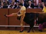 diseruduk-matador_20160411_170939.jpg