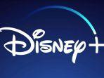 disneyhotstarrr.jpg