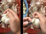 ditontonton-20-juta-kali-di-twitter-viral-video-cara-cepat-kupas-bawang-putih.jpg