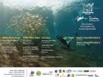 diver-gathering-10th-years-anniversary_20160825_085901.jpg