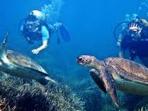 diving-clubbbbb_20160508_232123.jpg