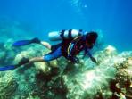 diving-peraiaran-anambas_20151002_160752.jpg