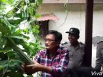 djarot-di-sini-oyong-di-jawa-namanya-gambas_20170117_221108.jpg