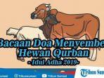 doa-menyembelih-hewan-kurban-idul-adha-2019-lengkap-dengan-artinya-menurut-ahli-agama.jpg
