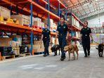 dog-handler-perempuan-bea-cukai.jpg