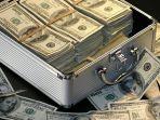 dollar-nih2.jpg