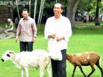 domba-jokowi_20160827_183443.jpg