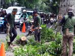 dpkp3-kota-bandung-pangkas-pohon-antisipasi-pohon-tumbang_20200130_184757.jpg