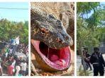 dprd-tolak-kenaikan-tn-komodo.jpg