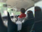 driver-taksi-online-pasang-kawat-antibegal-s.jpg