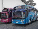 dua-armada-terbaru-po-exindo-57.jpg
