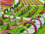 dubai-miracle-garden_20150122_130851.jpg