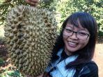 durian-monti-sebagai-ikon-durian-gunung-pati-semarang.jpg