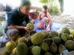 durian-sebatik_20150720_160838.jpg