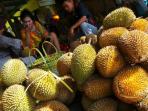 durian-semarang_20160204_100114.jpg