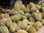 durian_20151227_135725.jpg