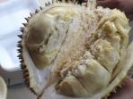 durian_20160128_125956.jpg