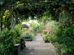 e-park-banyuwangi-yang-menjadi-lokasi-kegiatan-konferensi-indonesia-berkebun-iv_20160804_181942.jpg