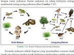ekosistem-menurut-para-ahli-1.jpg