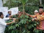 ekspor-kopi-gayo-ke-inggris.jpg