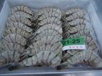 ekspor-udang-nih.jpg