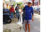 elang-laut1231.jpg