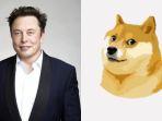 elon-musk-dan-dogecoin-atau-shiba-inu-h8tyhu.jpg