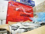 ementerian-kelautan-dan-perikanan-kkp-menyegel-100-ton-ikan-salem-impor.jpg