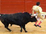 enrique-ponce-diseruduk-banteng.jpg
