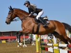 equestrian-ilustrasi_20170221_174552.jpg