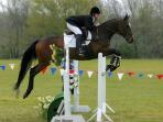 equestrian-lagilompatttt_20141117_031519.jpg