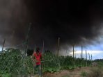 erupsi-gunung-sinabung-medan_20150622_161409.jpg