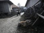 erupsi-gunung-sinabung-renggut-7-nyawa_20160522_204652.jpg