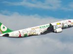 eva-air_20171210_195836.jpg