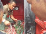 evakuasi-buaya-lepas_20170425_134457.jpg