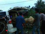 evakuasi-jasad-petani-kopi-di-tanggamus.jpg