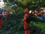 evakuasi-pohon-tumbang.jpg