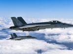 fa-18-hornet.jpg