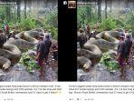 fakta-postingan-viral-ular-raksasa.jpg