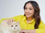 Cara Nagita Slavina Bangun Kedekatan Kucing-kucing Peliharaannya