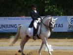 fei-world-dressage-challenge_20141102_110004.jpg
