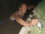 fenomena-ikan-mabuk-akibat-guyuran-hujan-di-tukad-badung.jpg